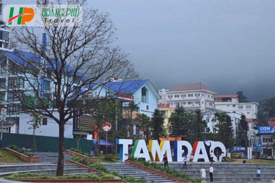 Thuê Xe Đi Tam Đảo 4-16  Chỗ Trọn Gói, Giá Tốt Tại Hoàng Phú Transport