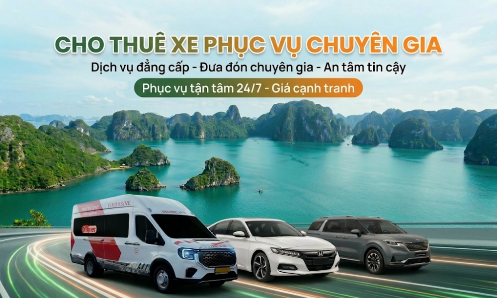 Thuê Xe Phục Vụ Chuyên Gia